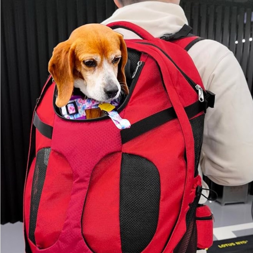 Pet carrier back pack